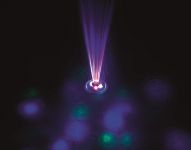 Bestway LED  Pool Lampe mit Wasserfontne 58493